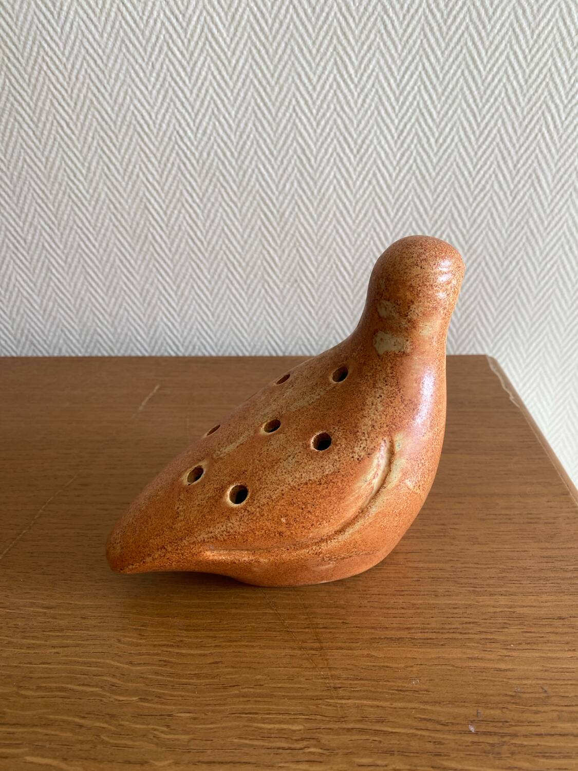 Flower picker bird the Dieulefit caves