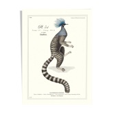 Lithographie gravure chimère animal, le ouistigeon 22x28 cm