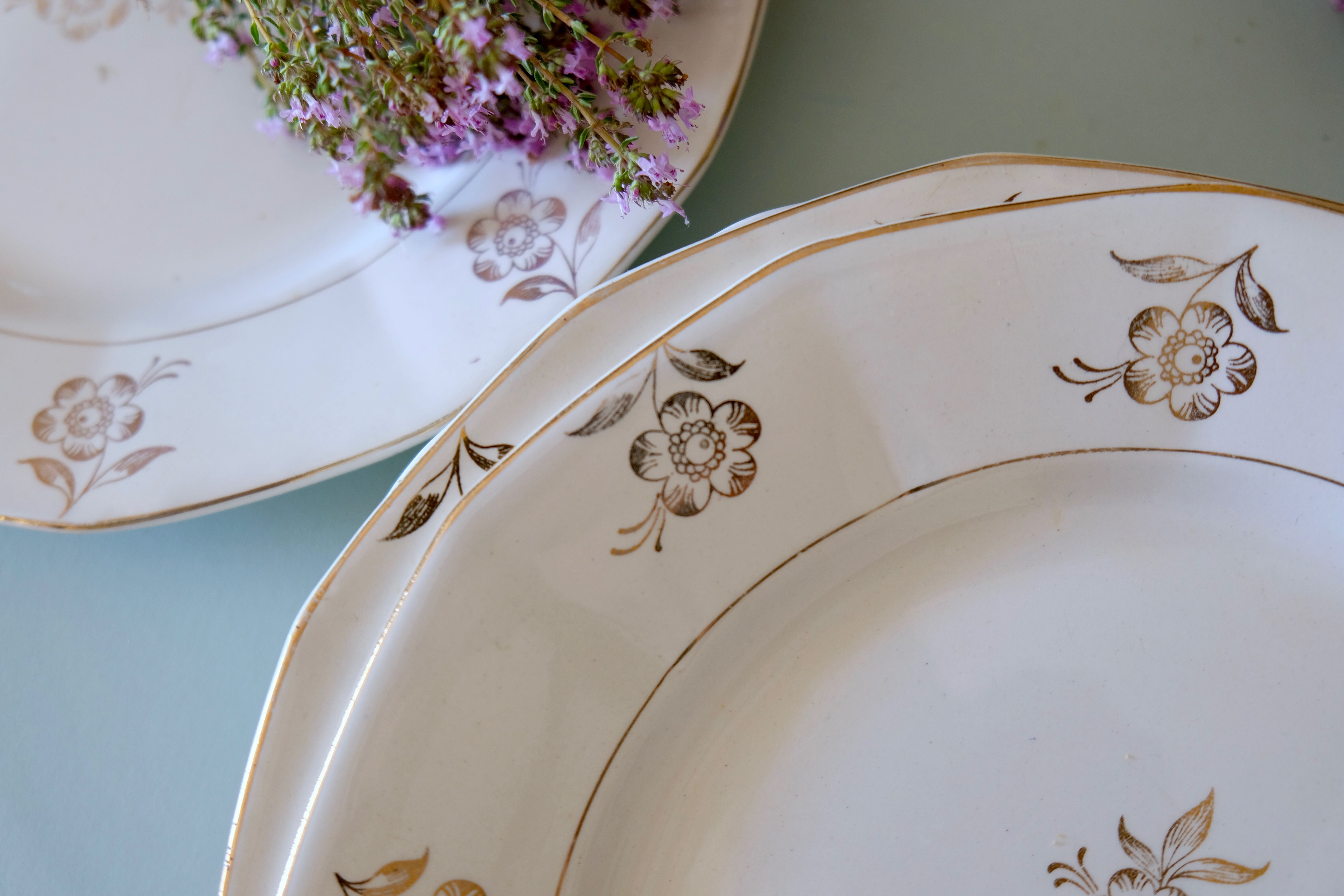 Set of opaque porcelain plates 'Raphael' from the French manufacturer Digoin-Sarreguemines