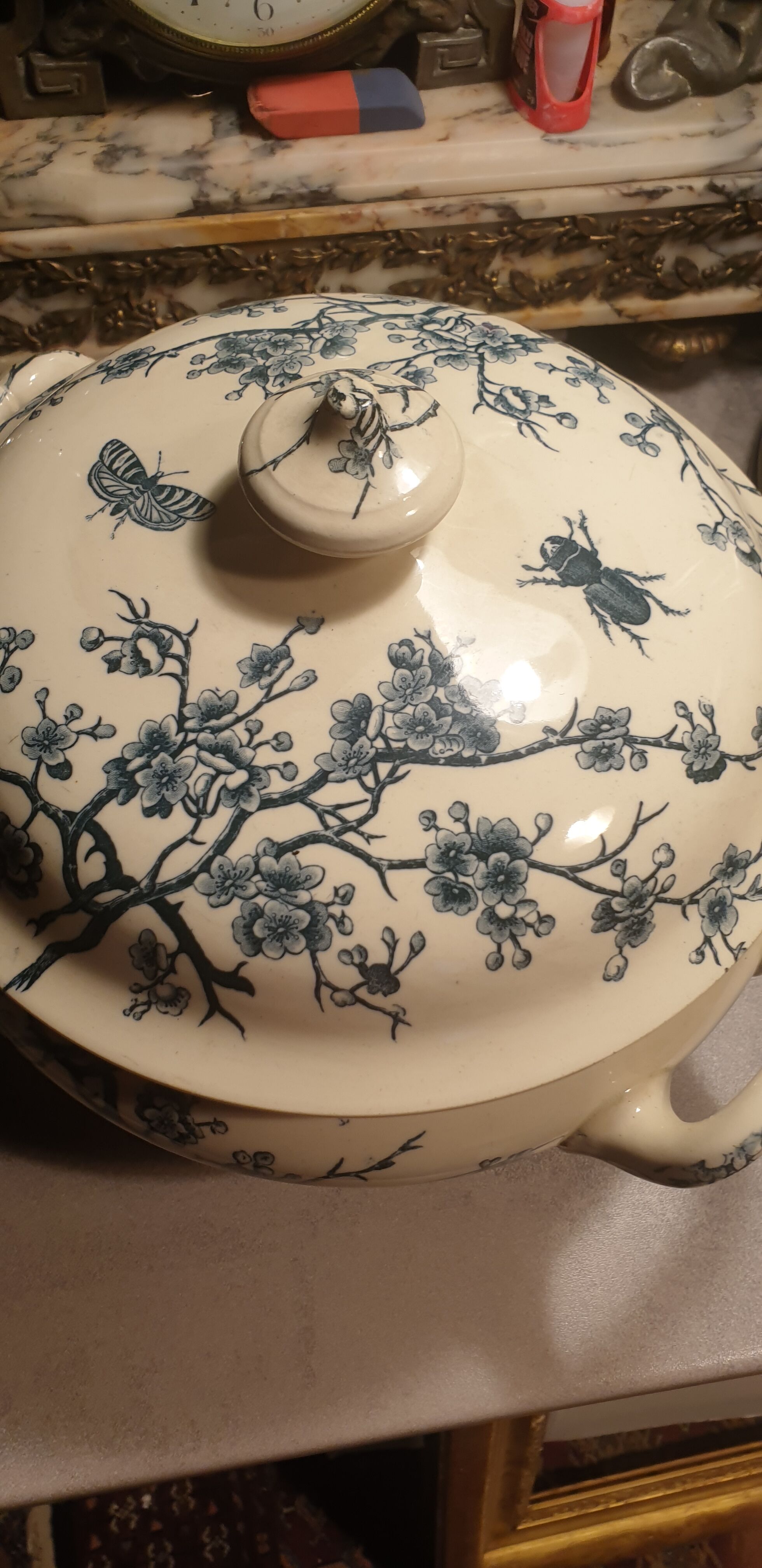 Insect Shoemaker XIXth