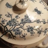 Insect Shoemaker XIXth