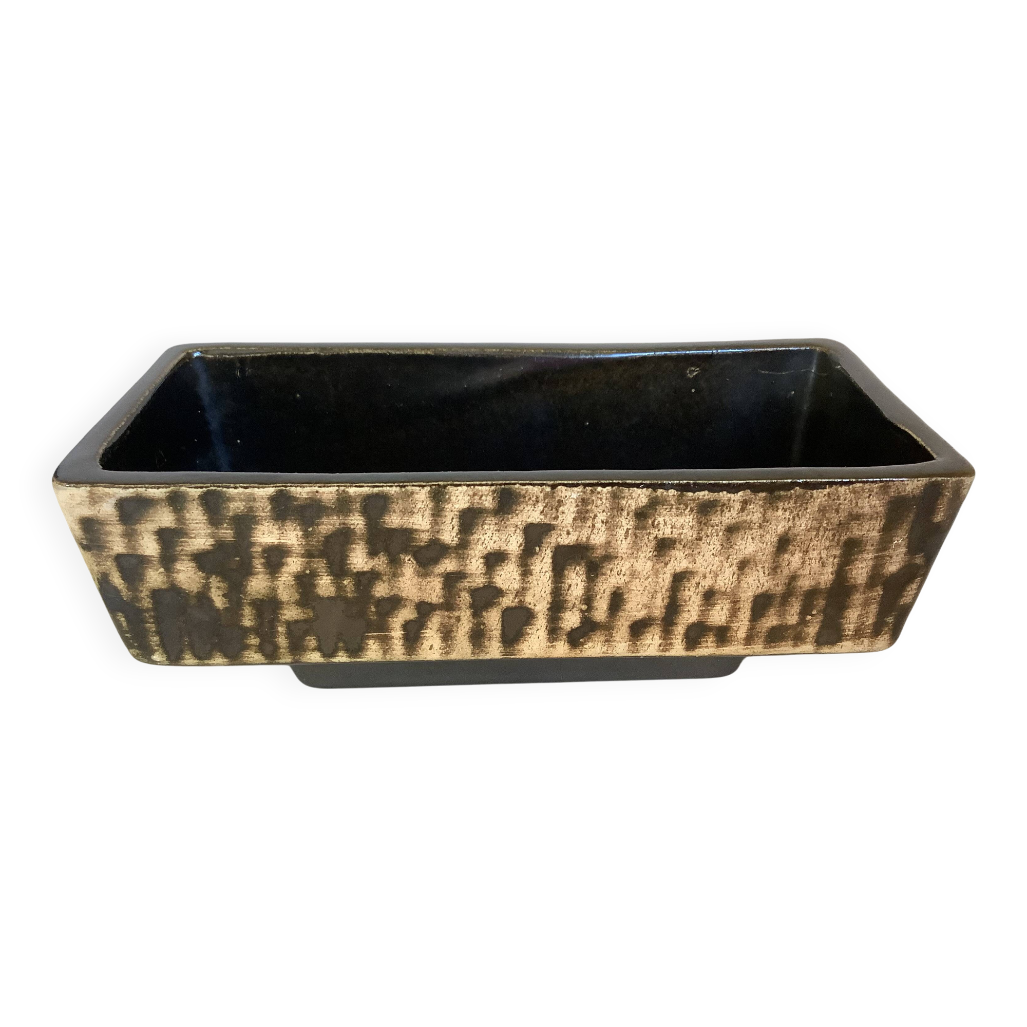 Small cactus planter Aldi Reuver Holland