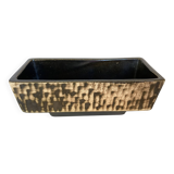 Small cactus planter Aldi Reuver Holland