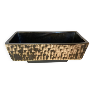 Small cactus planter Aldi Reuver Holland