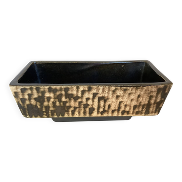 Small cactus planter Aldi Reuver Holland