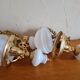 Pair of opaline and gilded brass wall lights