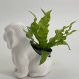 Cache pot chien en porcelaine blanc vintage