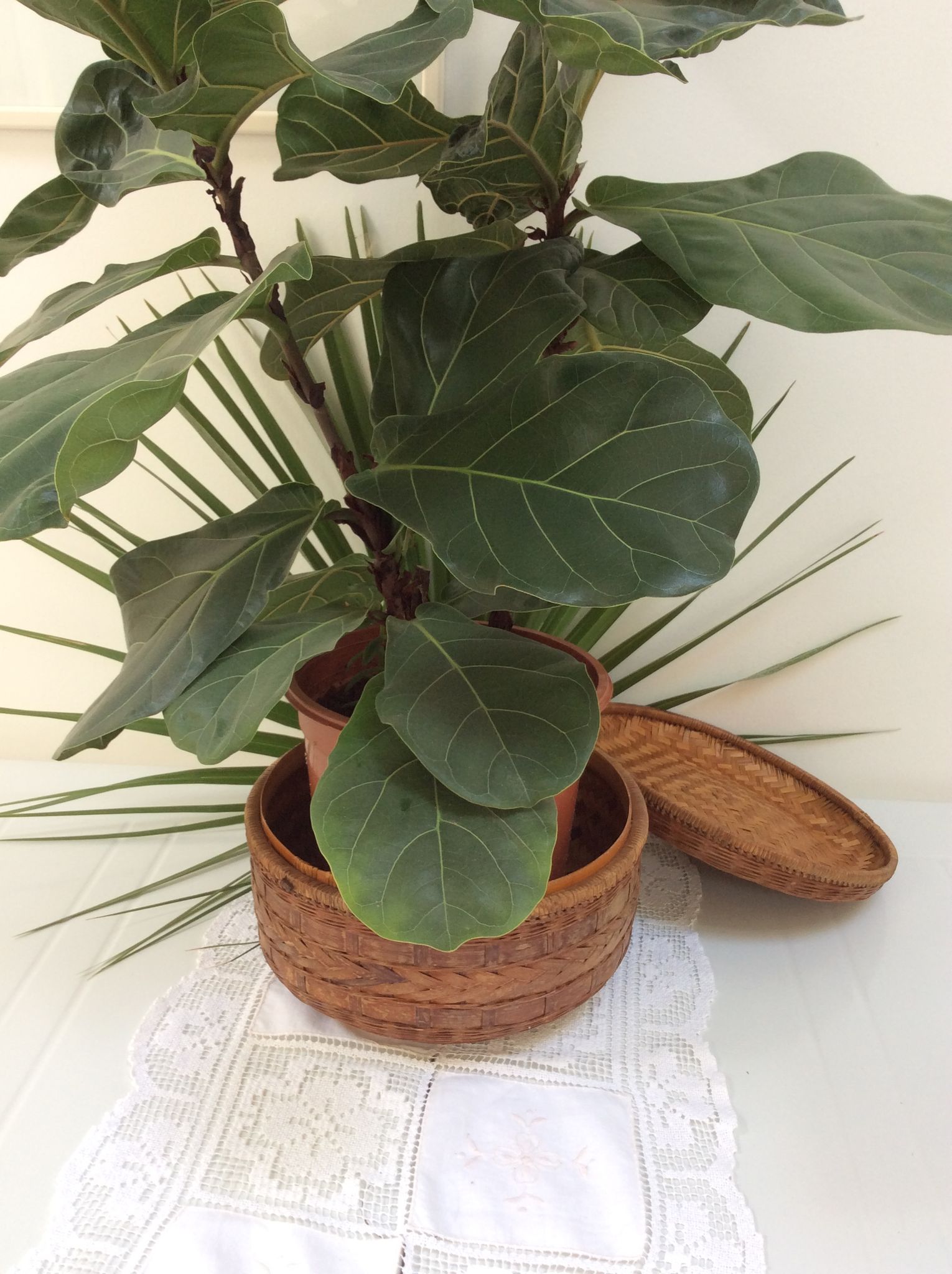 Basket with lid  vintage round