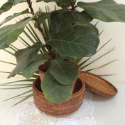 Basket with lid  vintage round