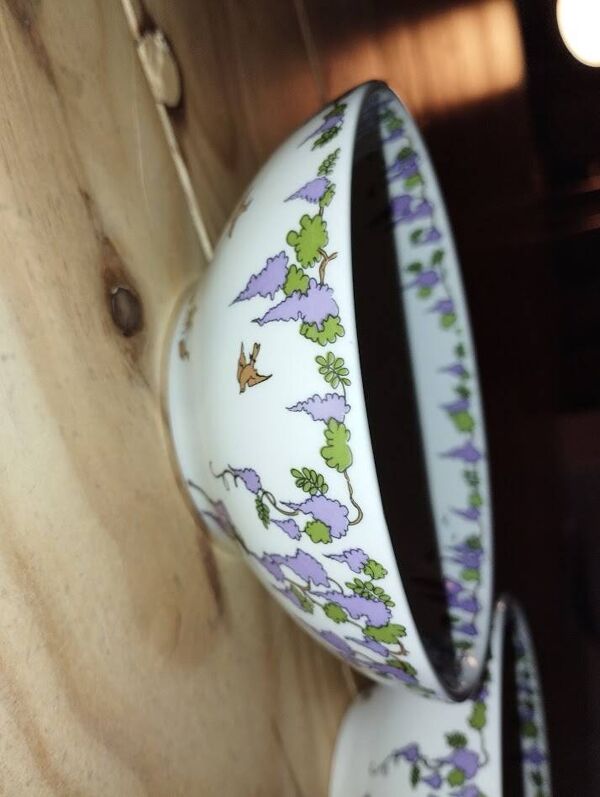 Paire de bols Villeroy & Boch – Décor floral – État parfait