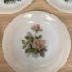 Set de 6 assiettes creuses Arcopal Rose de France