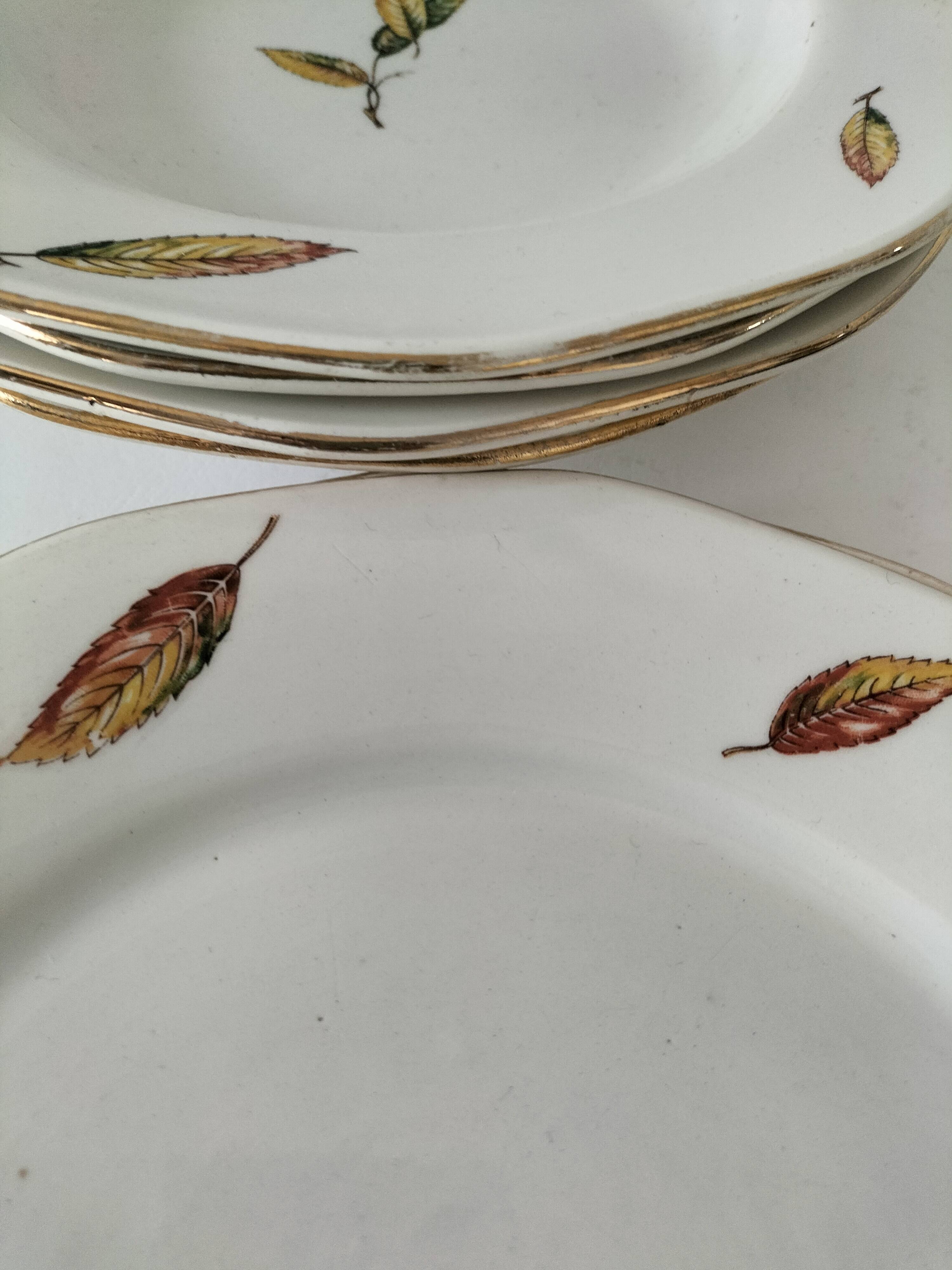 7 assiettes plates et creuses en faïence opaque Digoin Sarreguemines Nemours