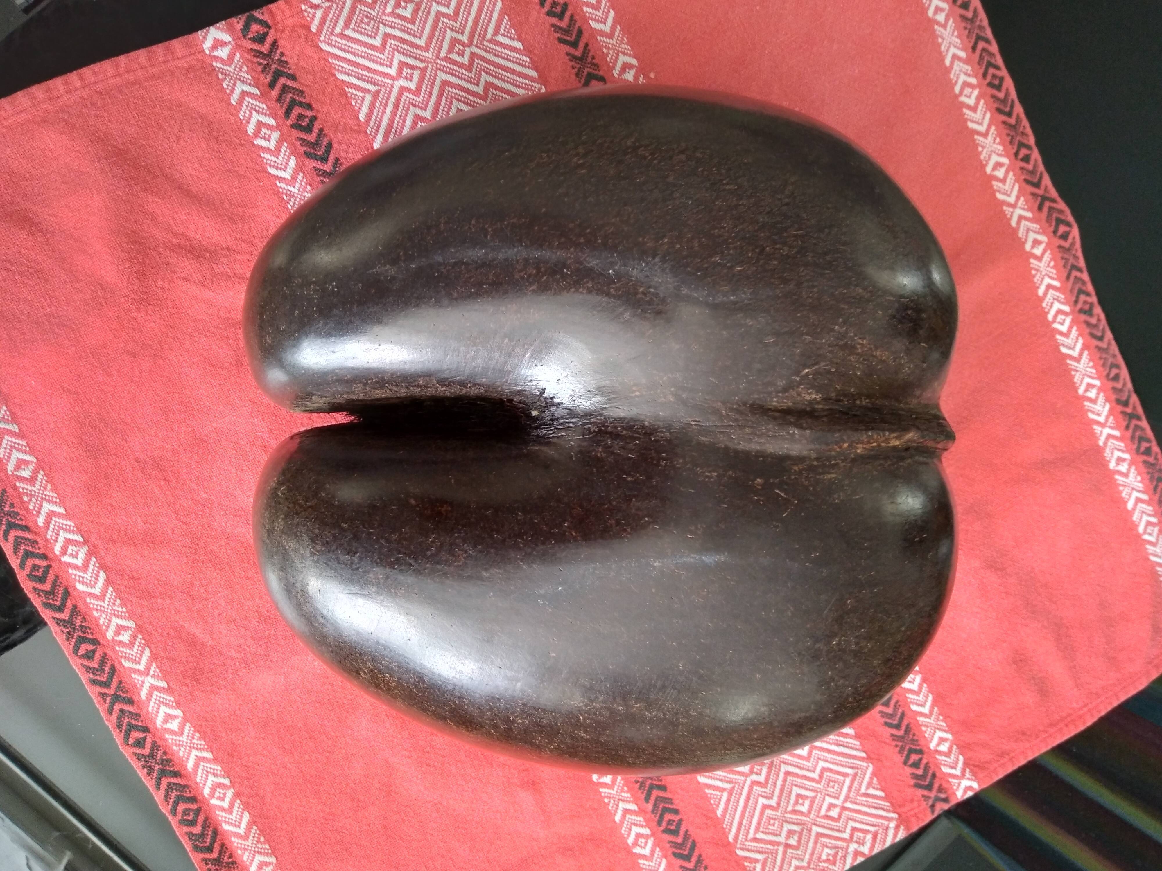 Coconut basket buttocks of Seychelles