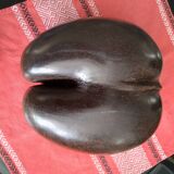 Coconut basket buttocks of Seychelles