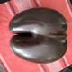 Coconut basket buttocks of Seychelles