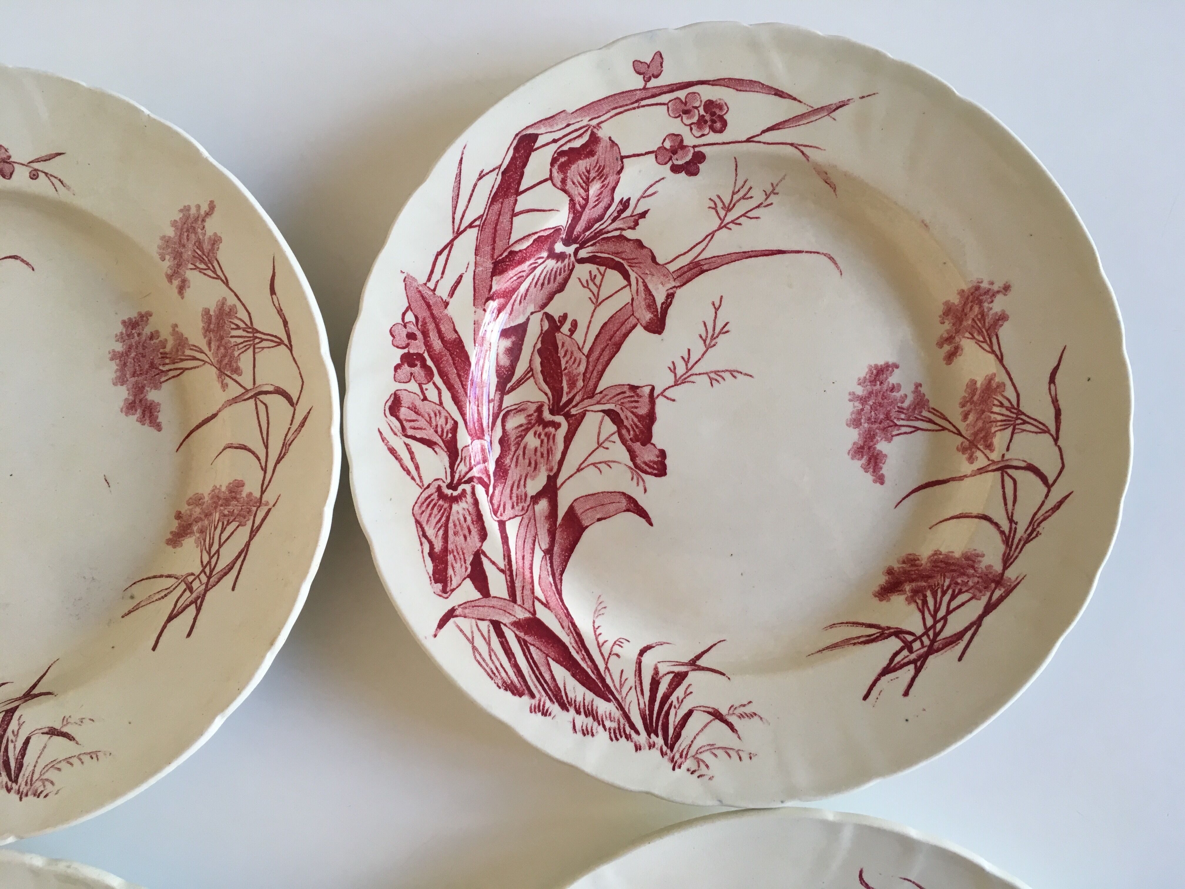 Flat plates J Vieillard Bordeaux, 1850
