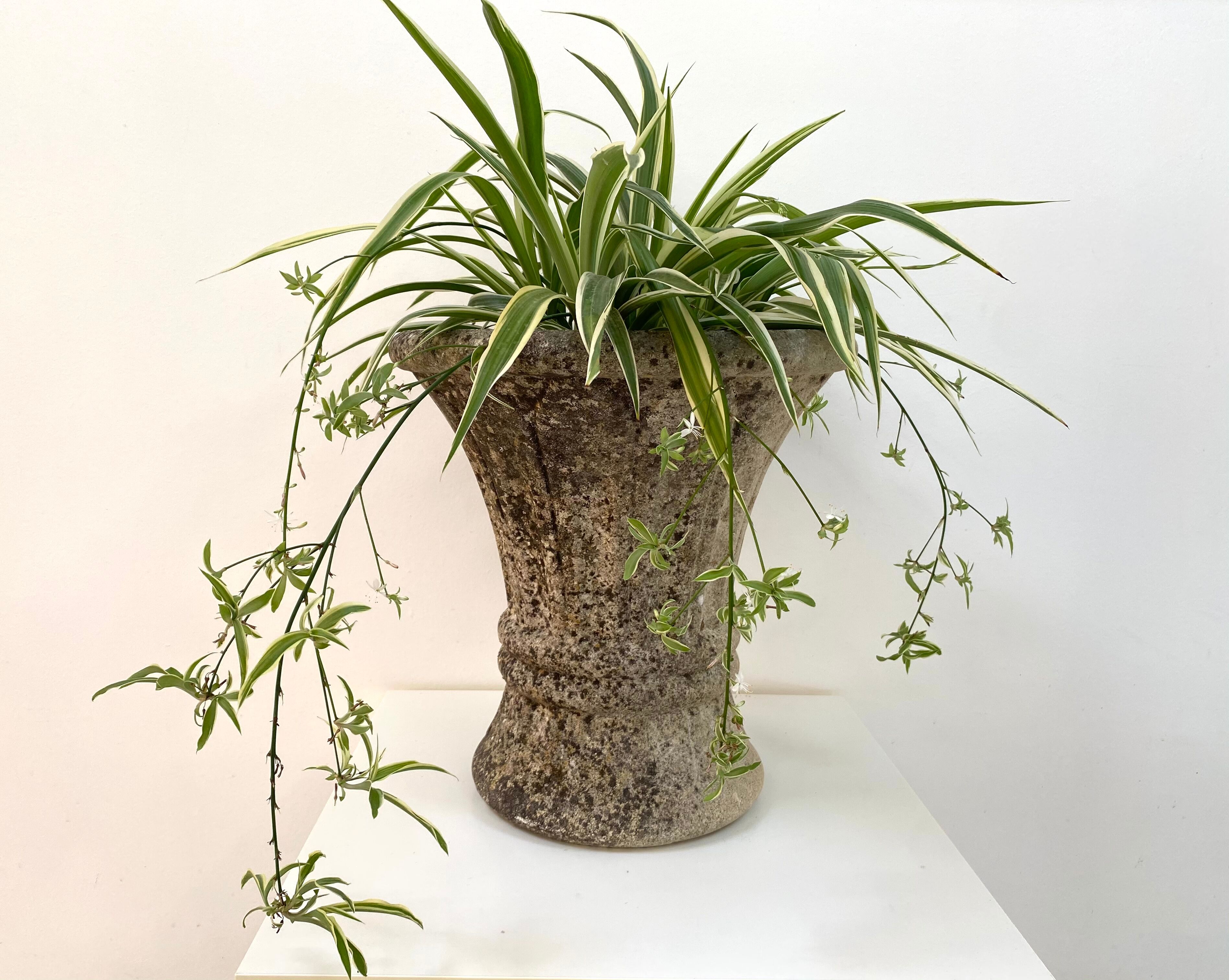 Medici style stone planter from the 60s