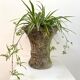 Medici style stone planter from the 60s