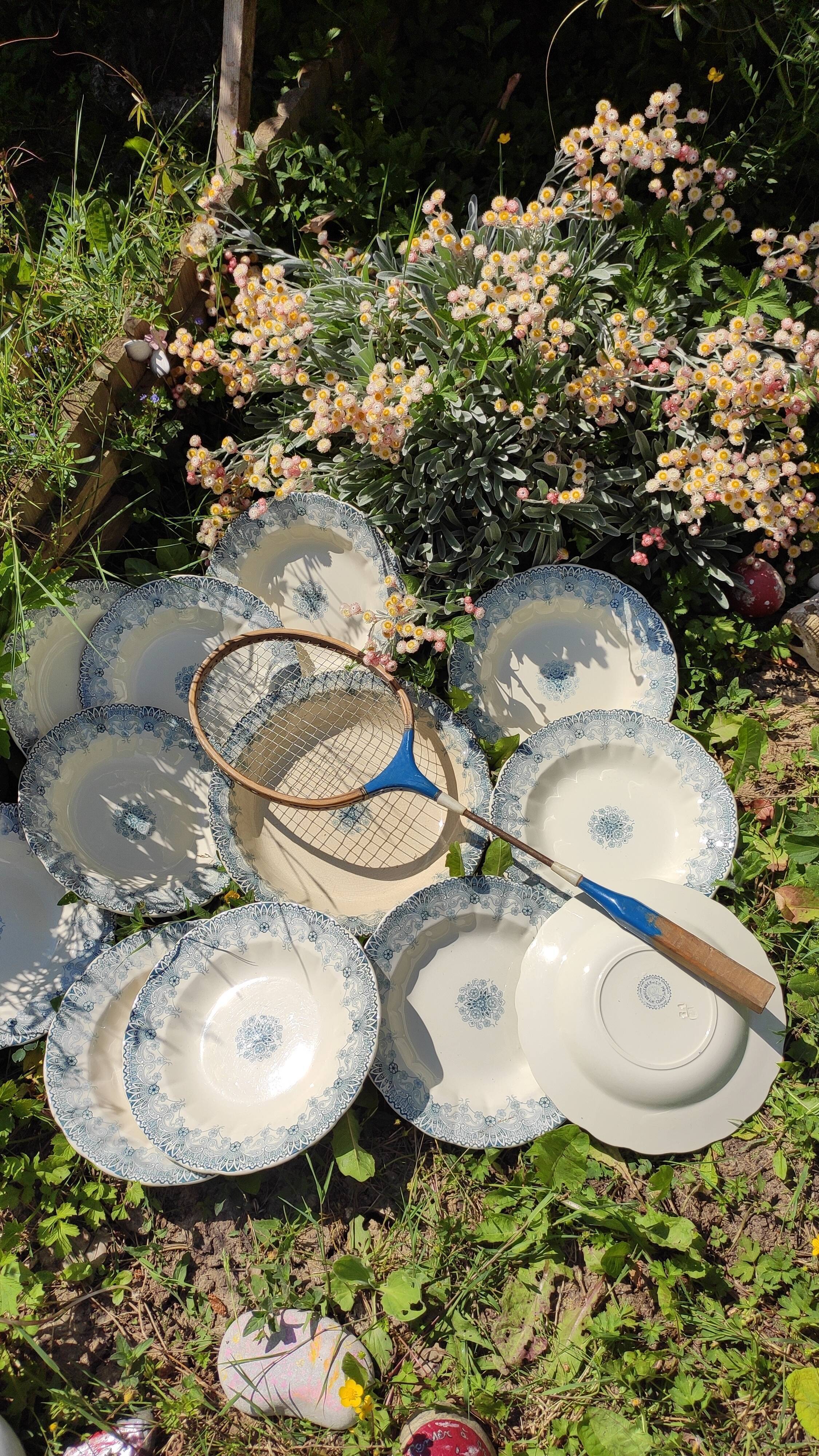 Ancient plates iron earth