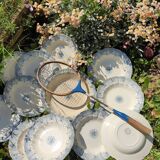 Ancient plates iron earth