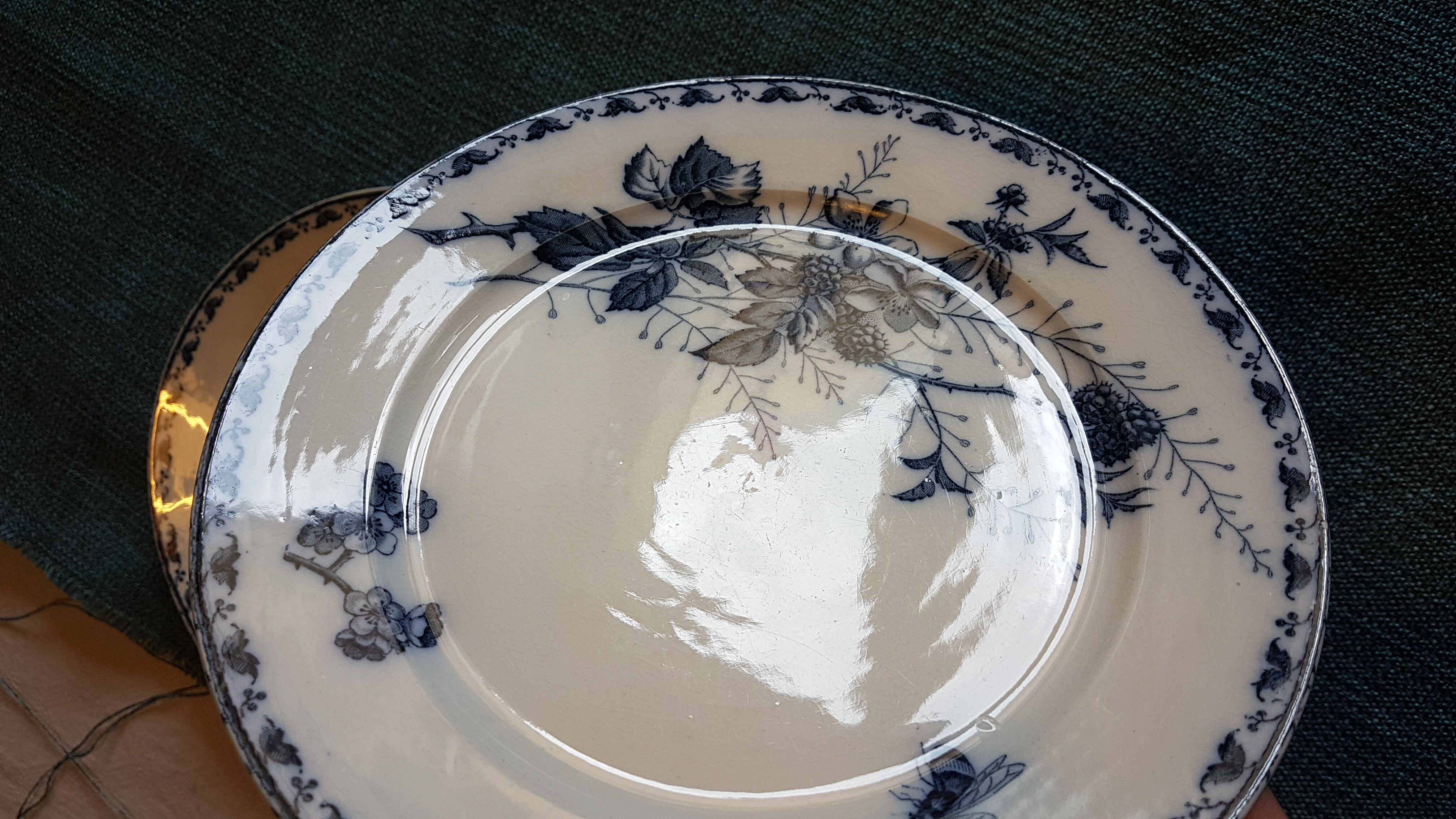 Paire d'assiettes en faïence à décor de fleurs