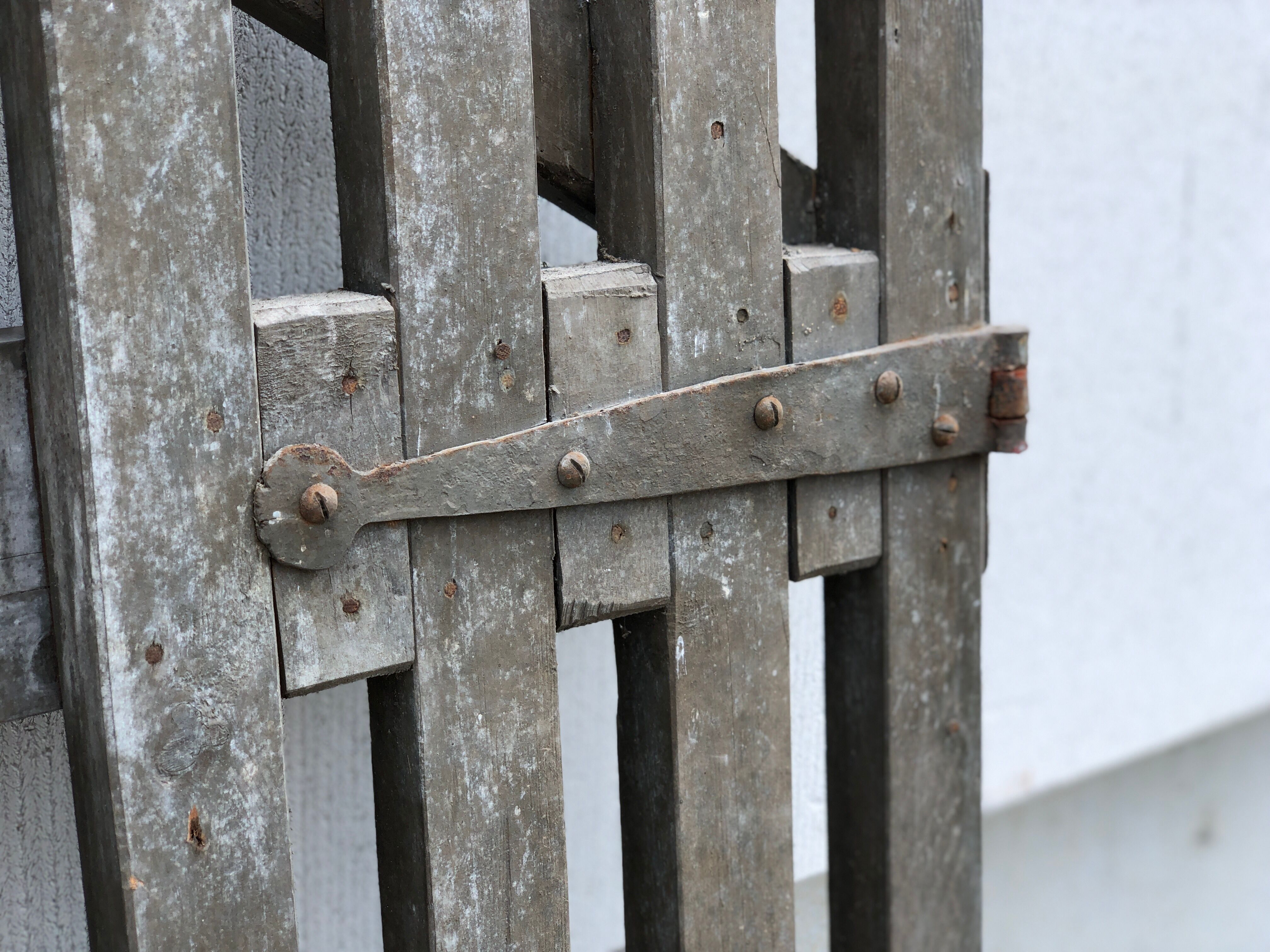 Pair of wooden doors