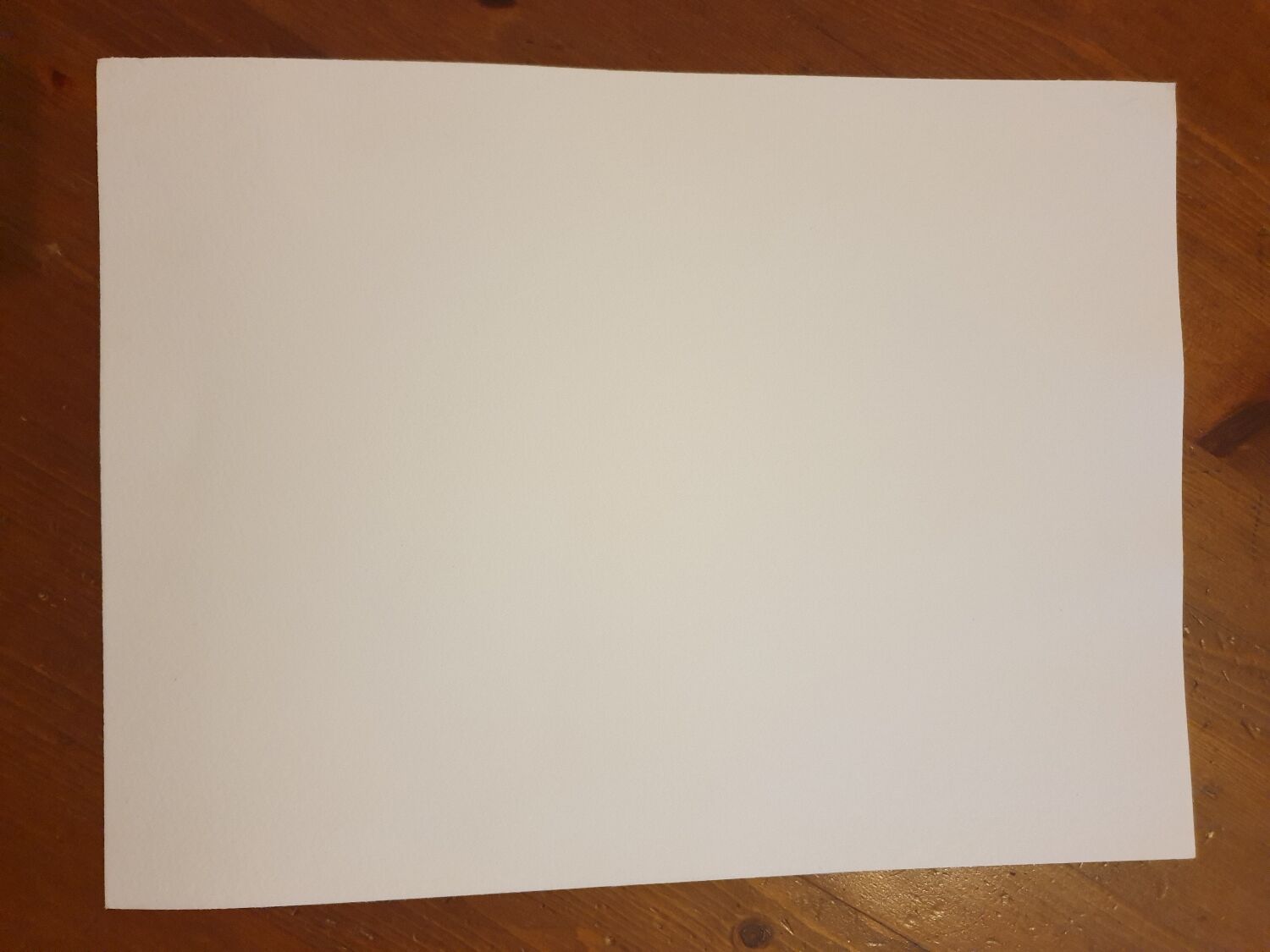 Watercolor still life painting