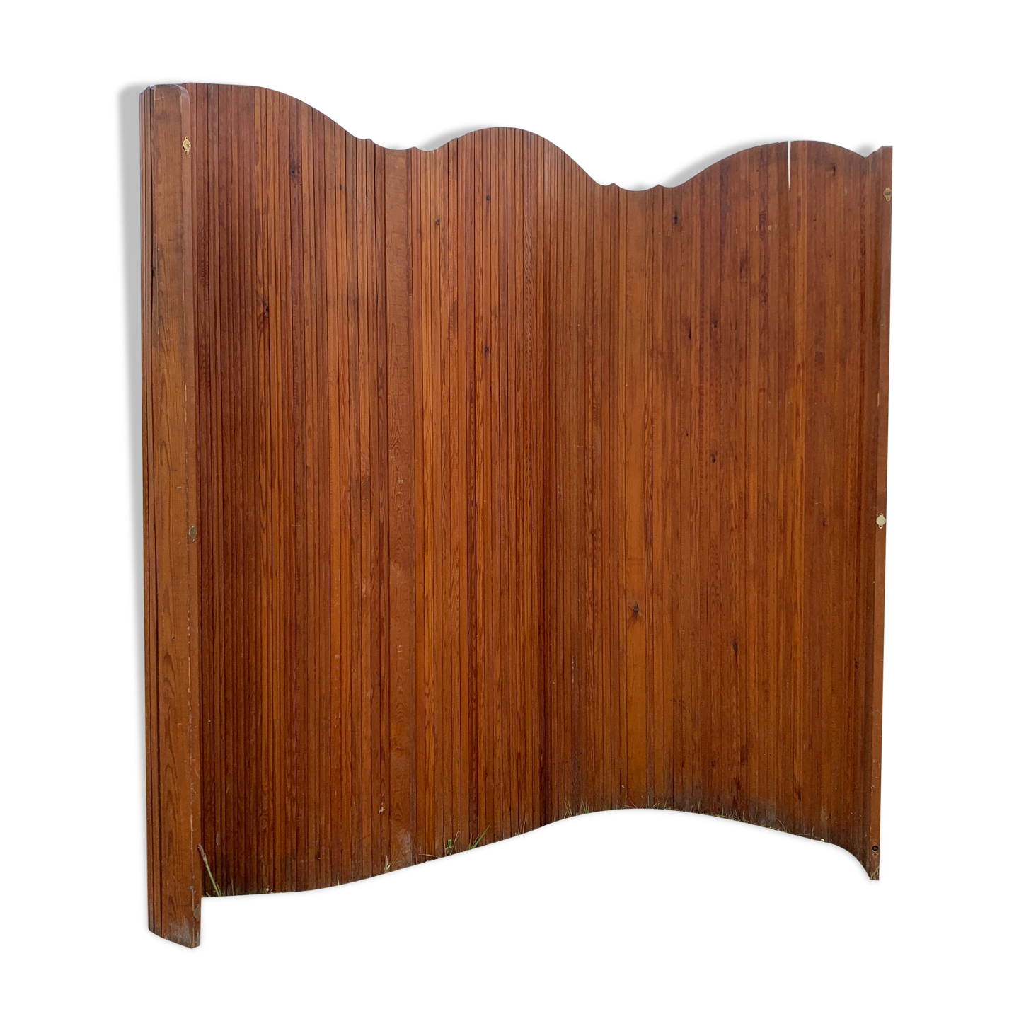 SNSA screen in pitchpin slats genus Baumann