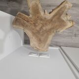 Side table in raw solid wood