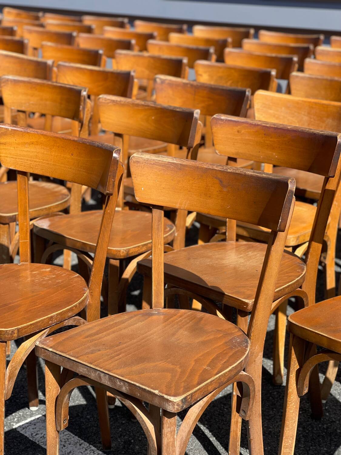 Lot of 60 wooden bistro chairs from the Baumann 1970s