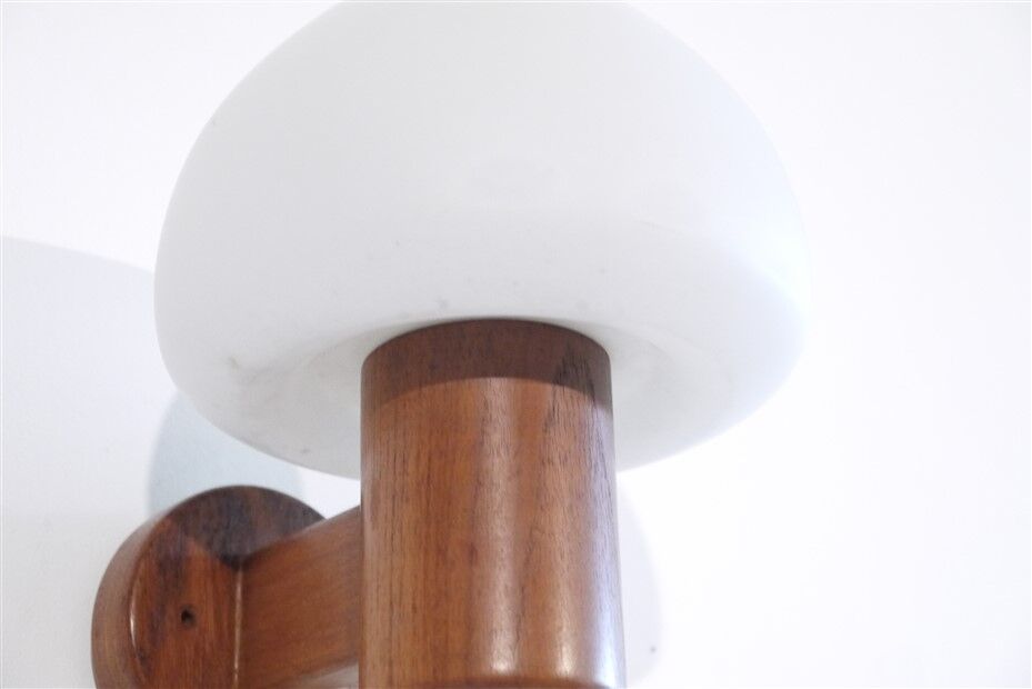 Vintage Danish wall lamp in teak and opaline 1960