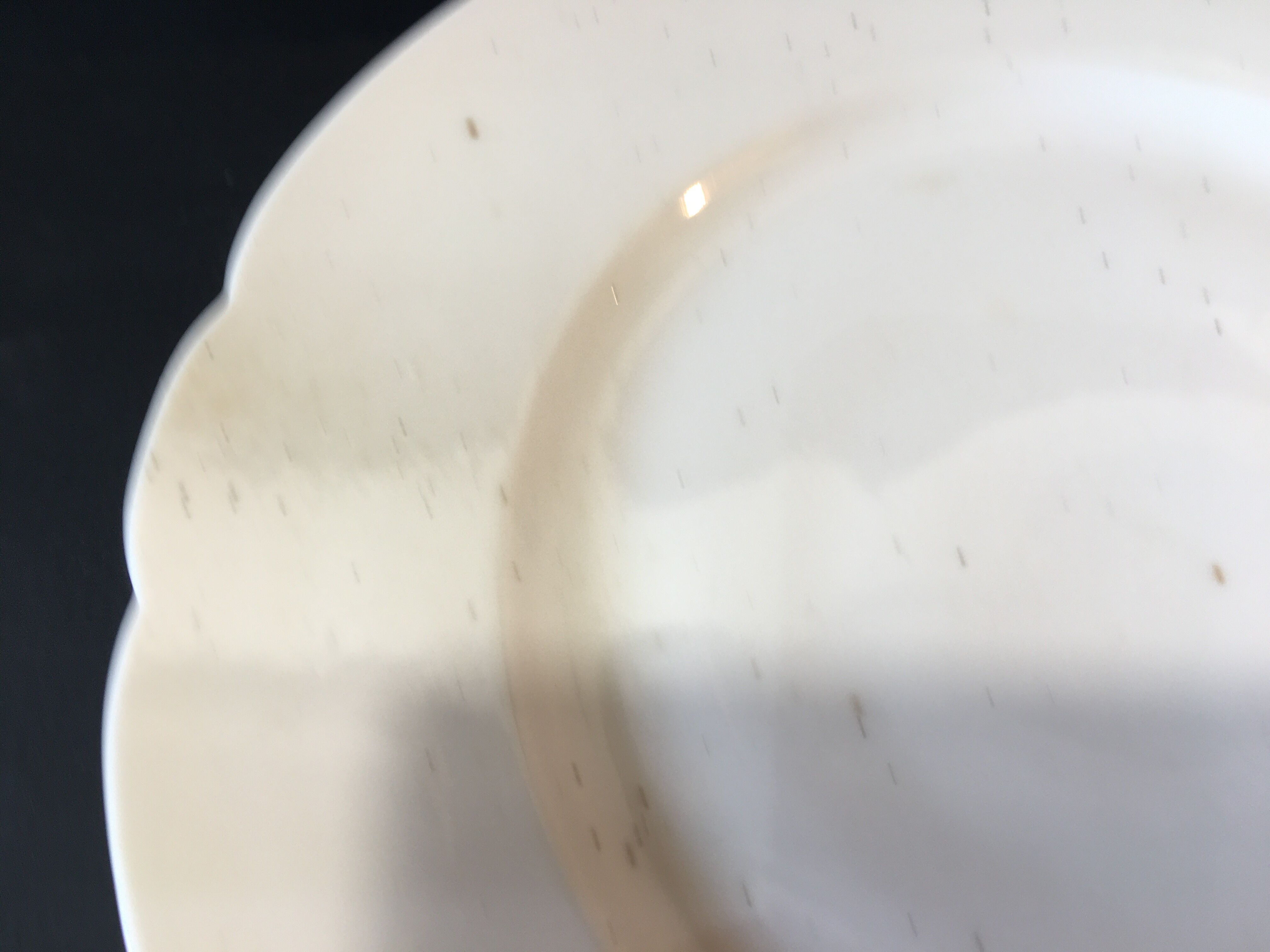 Limoges haviland porcelain presentation plate 1892