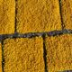 Tapis Mrirt jaune 250cmx150cm fait main en laine de haute qualité