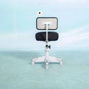 Vintage Gispen office chair from the 1960s, industrial Hoffmann.