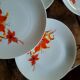 70s dinner plates