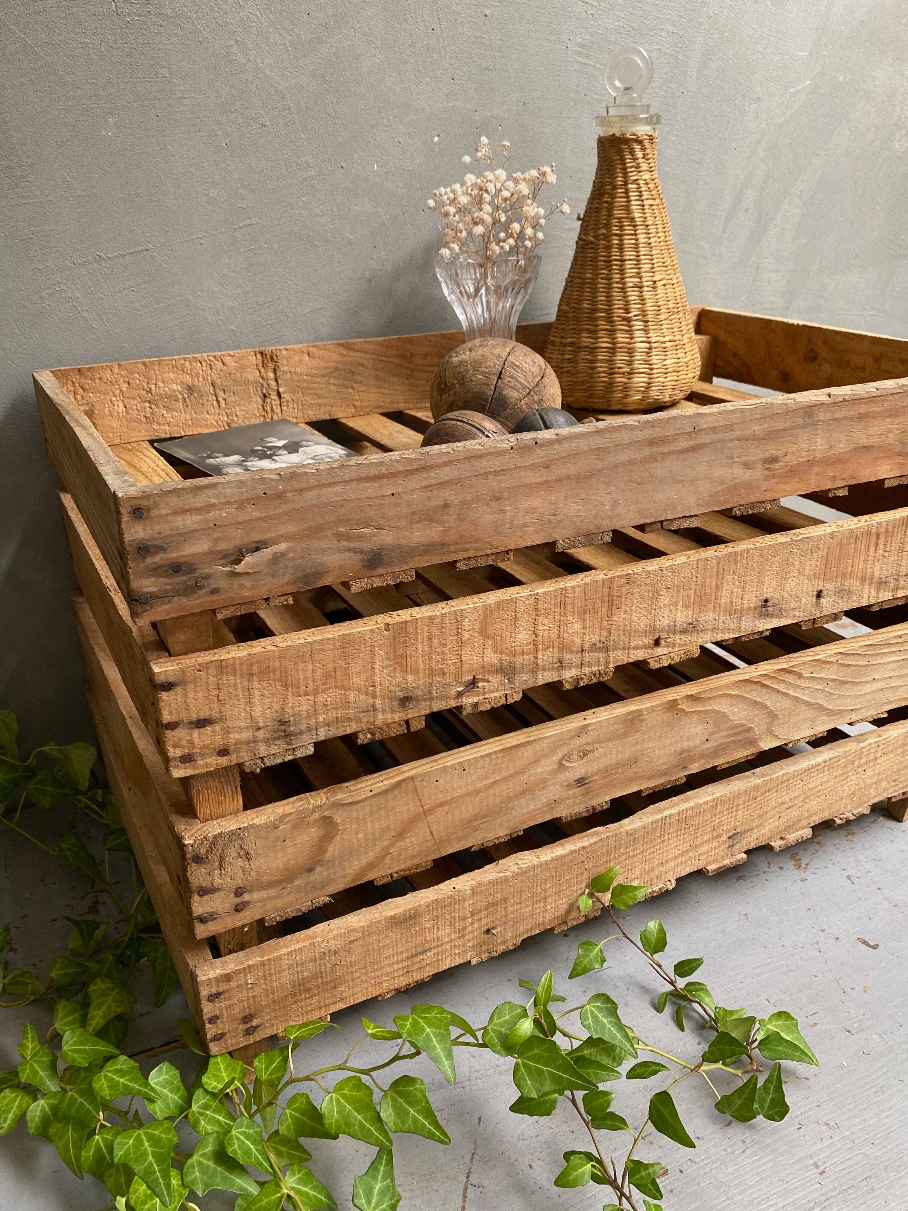 Market gardener tray