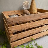 Market gardener tray