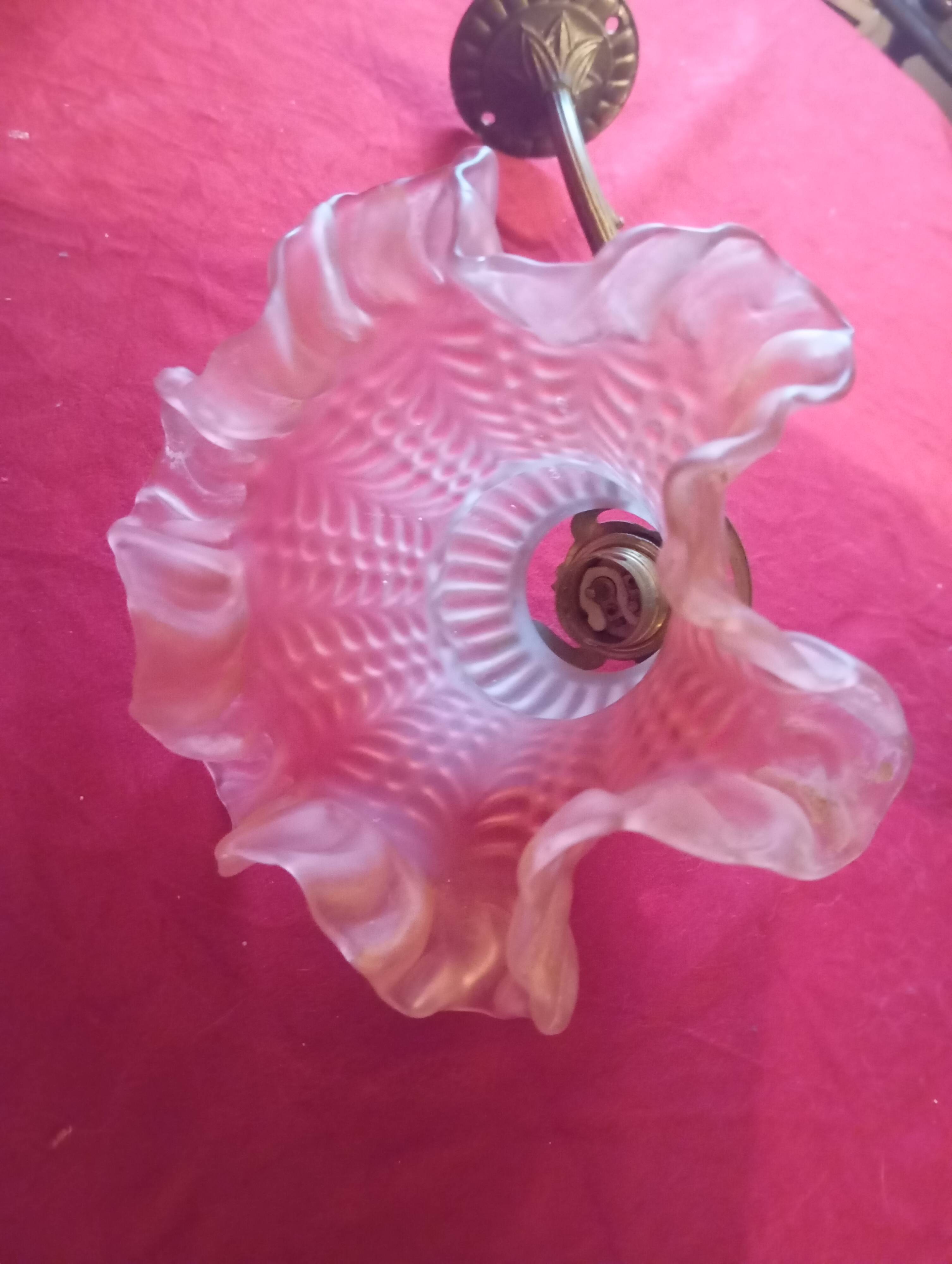 Wall applique with its tulip