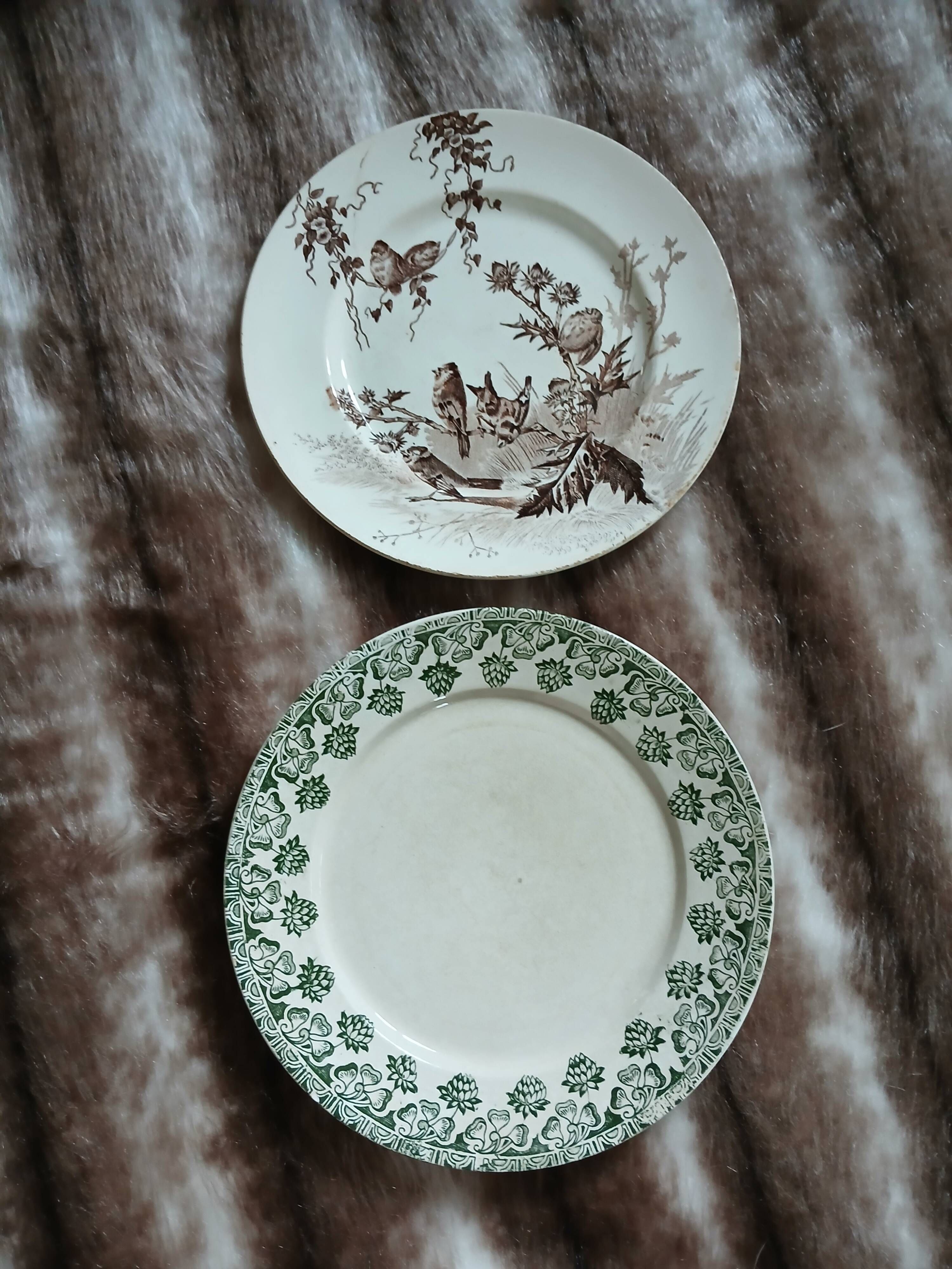 10 antique flat plates in ironstone