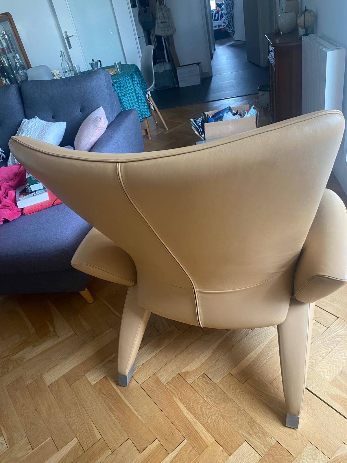 Fauteuil De Sede DS-260