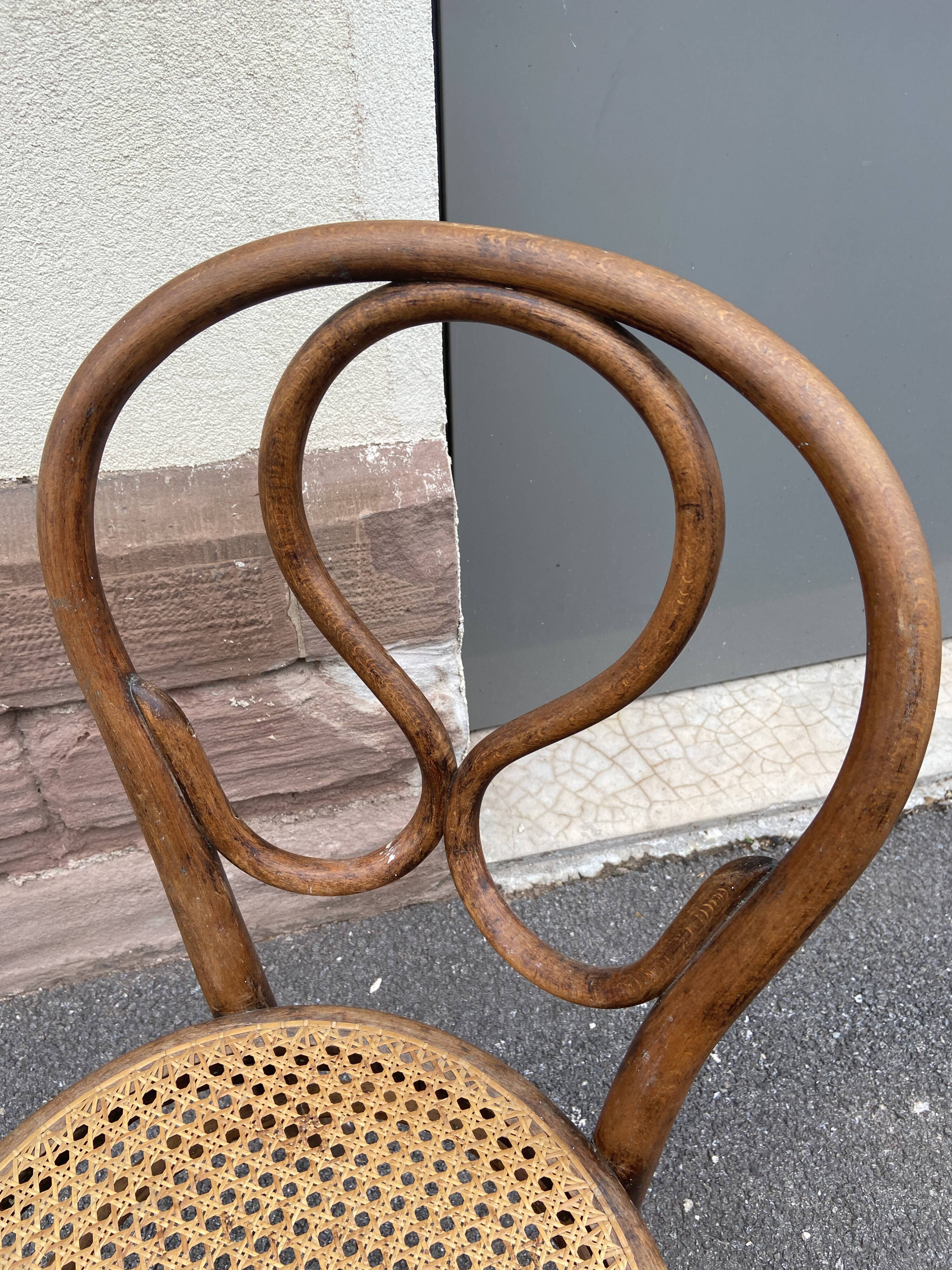 Canine bistro chair Thonet Nr 20 Omega