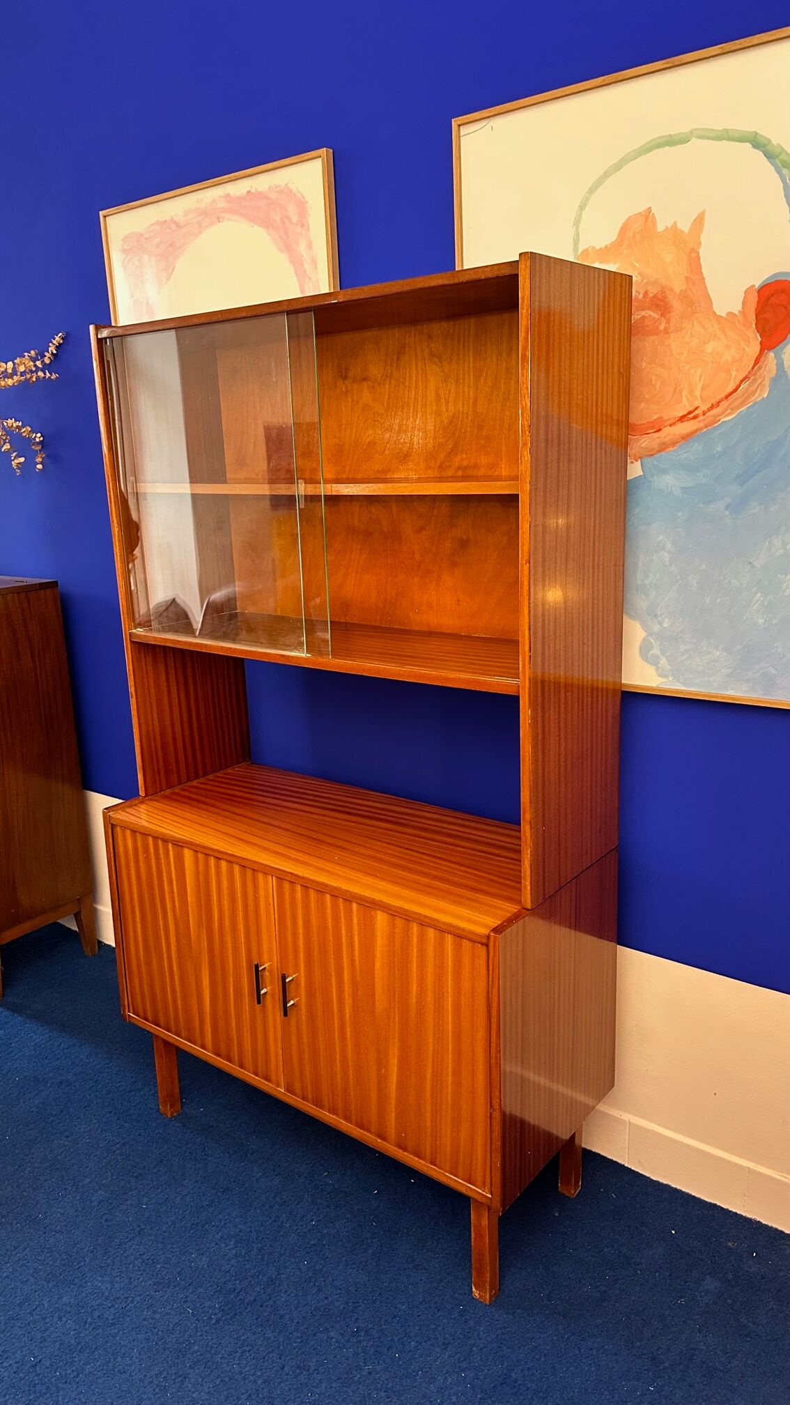Storage cabinet with showcase of the 60s pedestal shelf