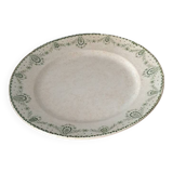 Dish