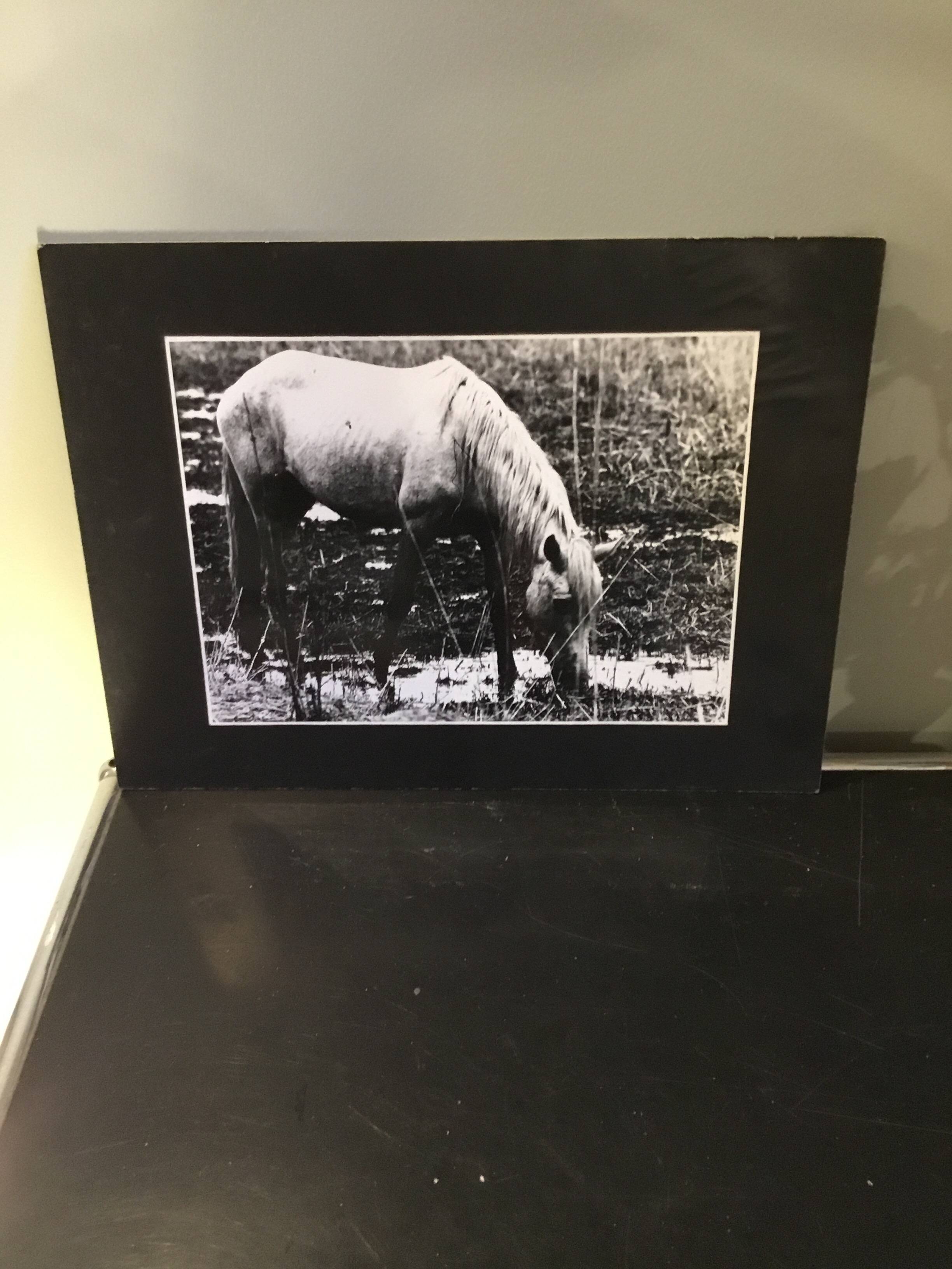 Black and white silver print