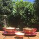2 lunches - tea cups + sugar bowl - burgundy earthenware with gold trim - vintage 50/60