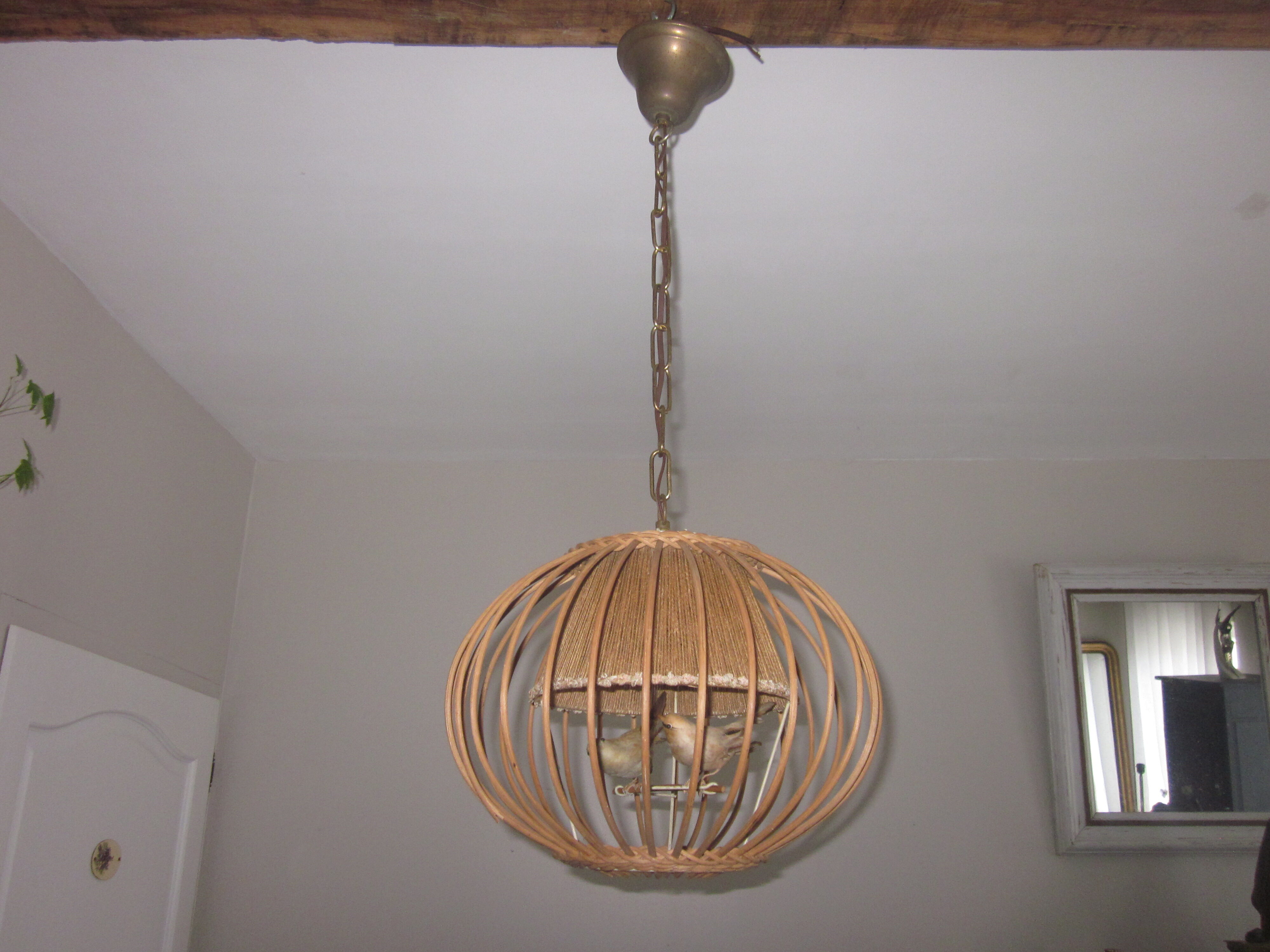 Suspension cage avec oiseaux