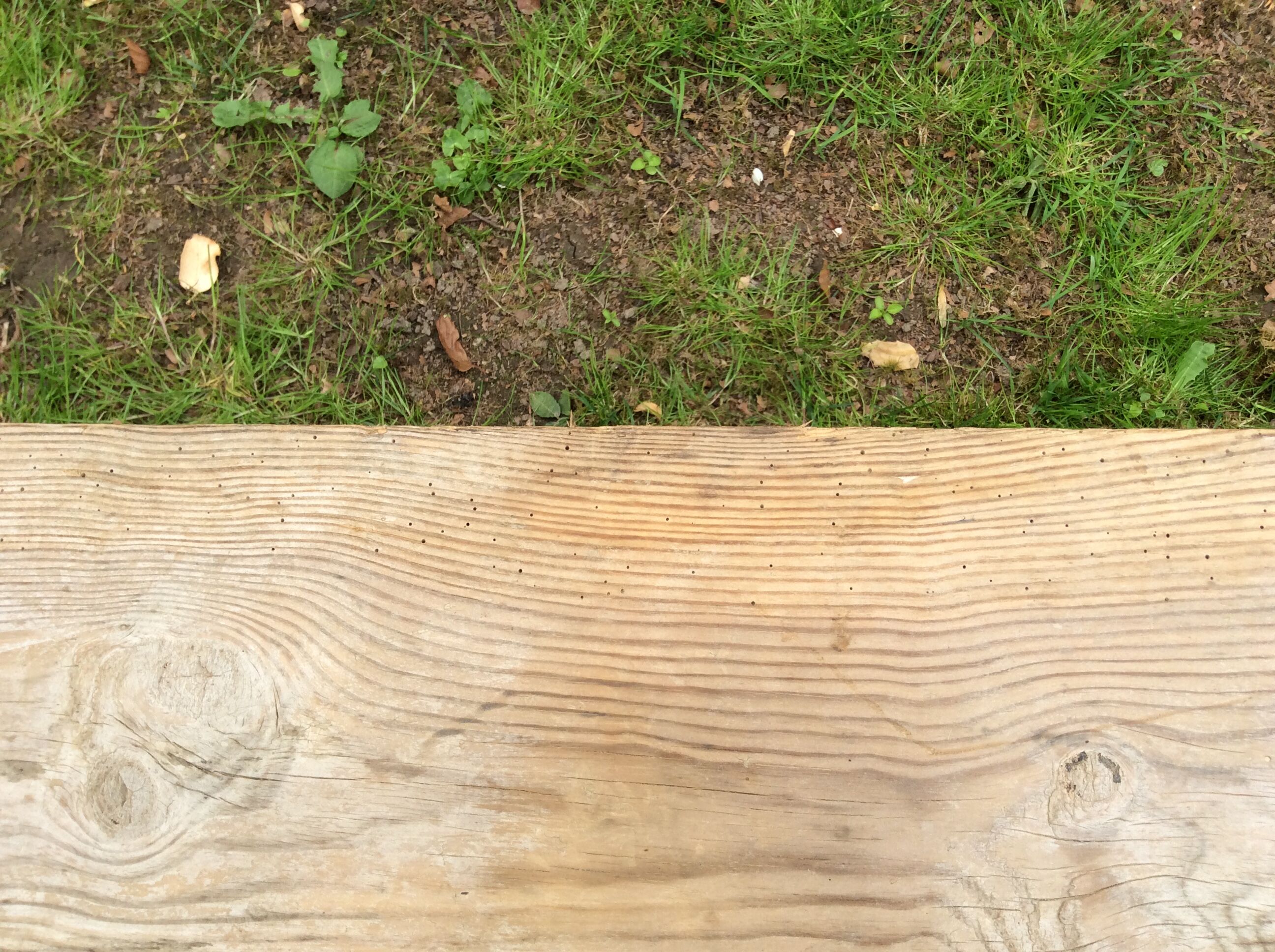 Banc brutaliste