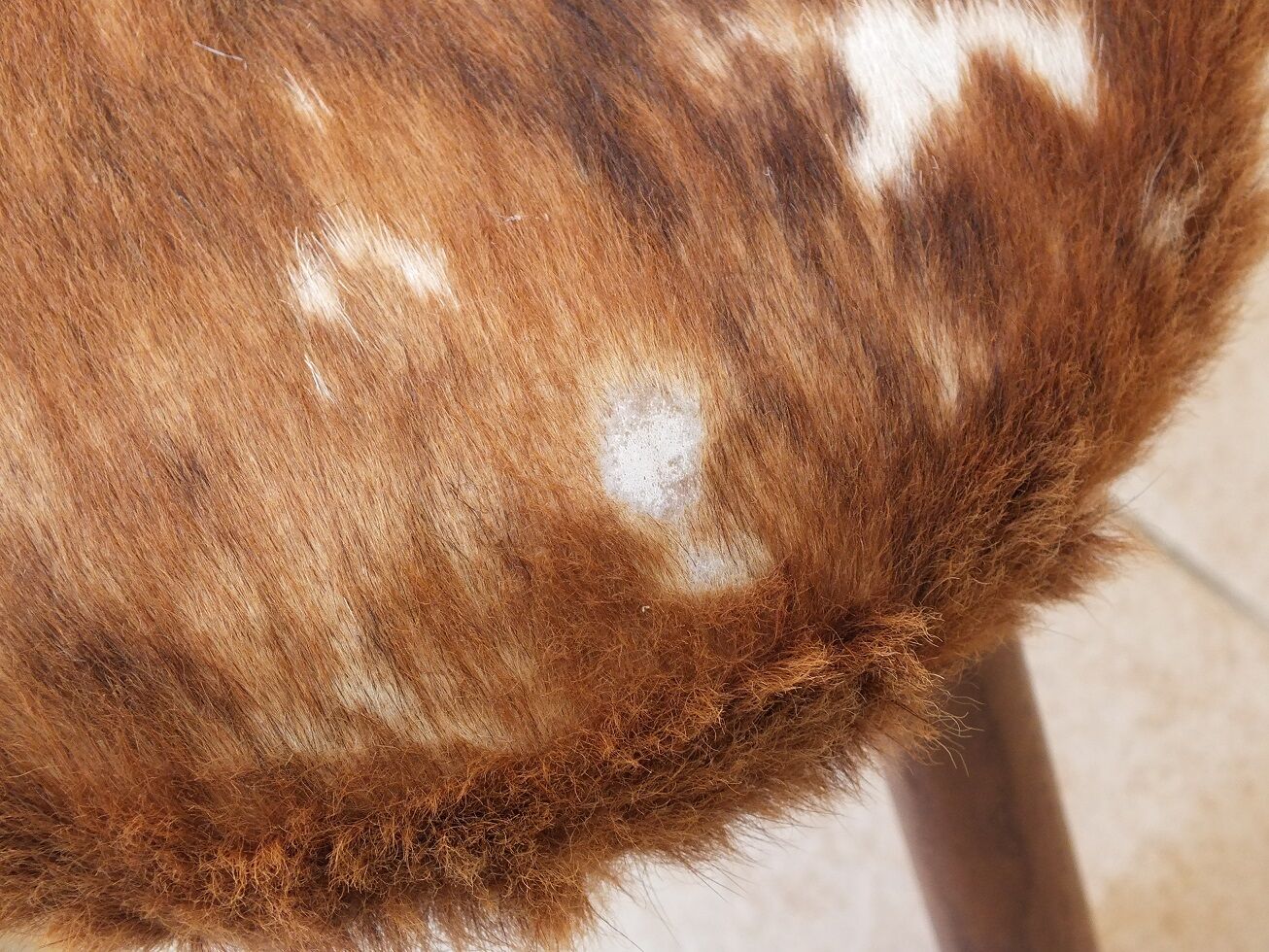 Pair of cow skin stools