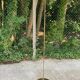 Vintage halogen floor lamp in gold SCE France