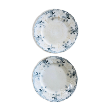 Longwy flat plates
